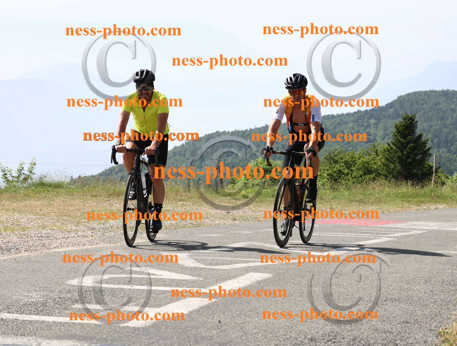 Col du grand Colombier (748).JPG