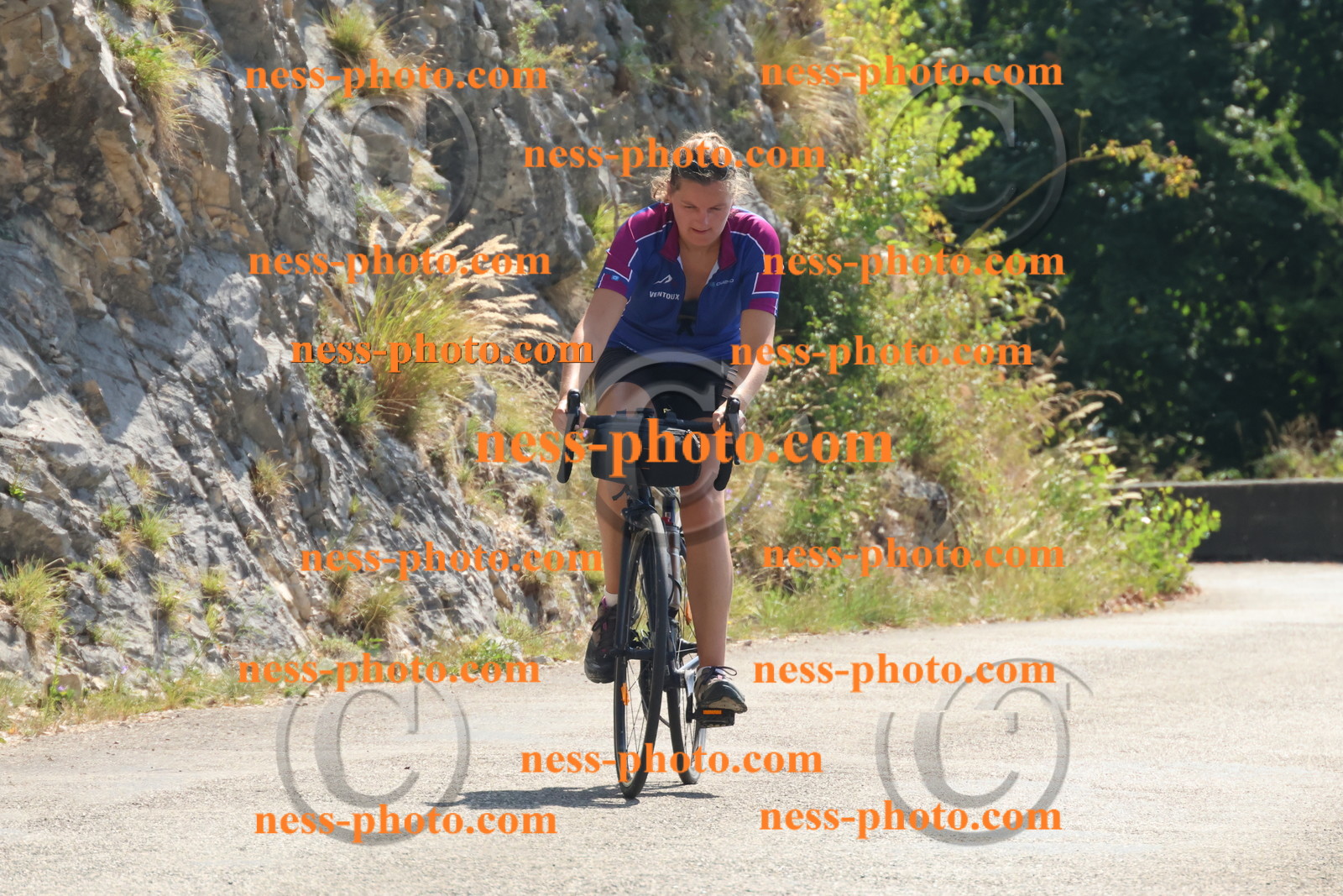 Col du Grand Colombier (3191).JPG