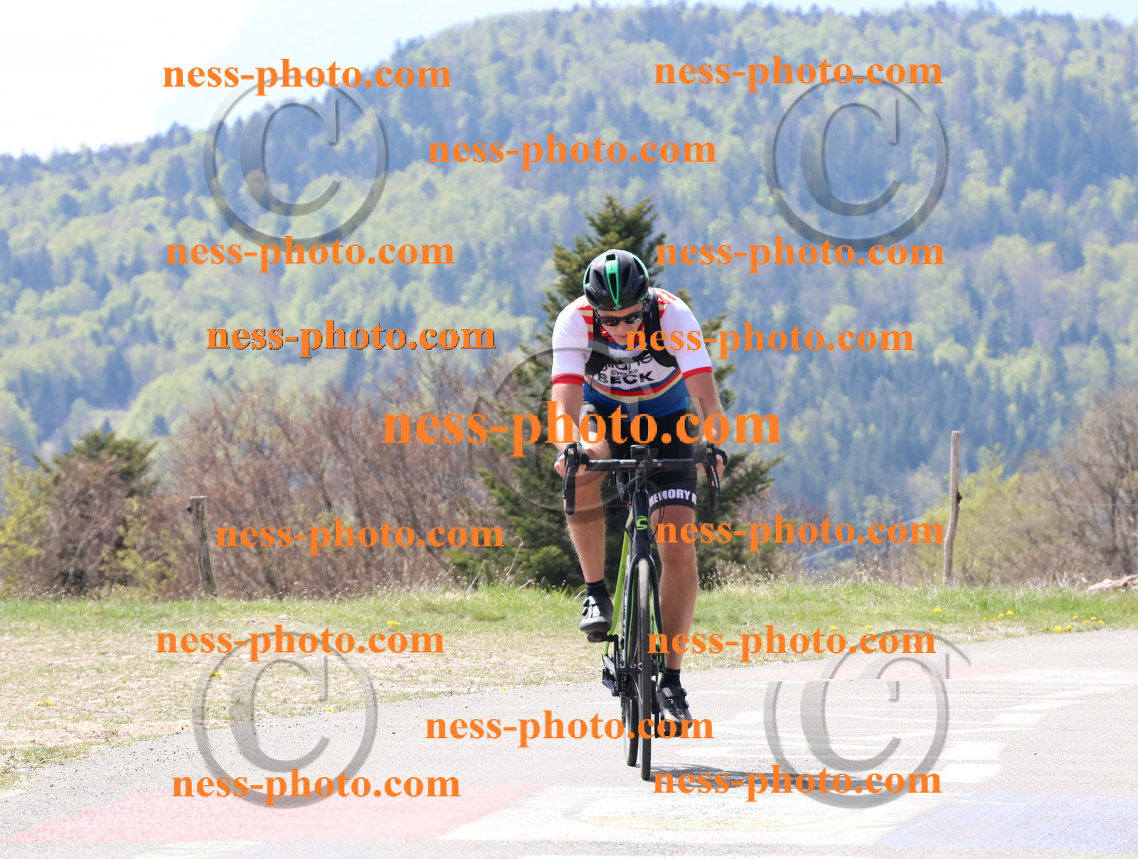 Col du Grand Colombier (48).JPG