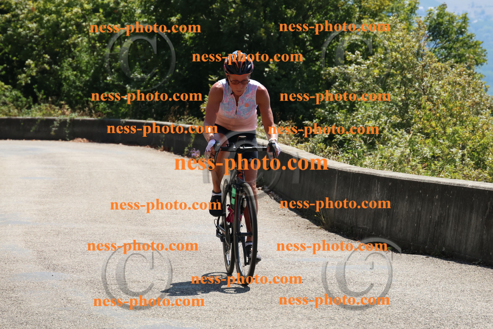 Col du Grand Colombier (373).JPG