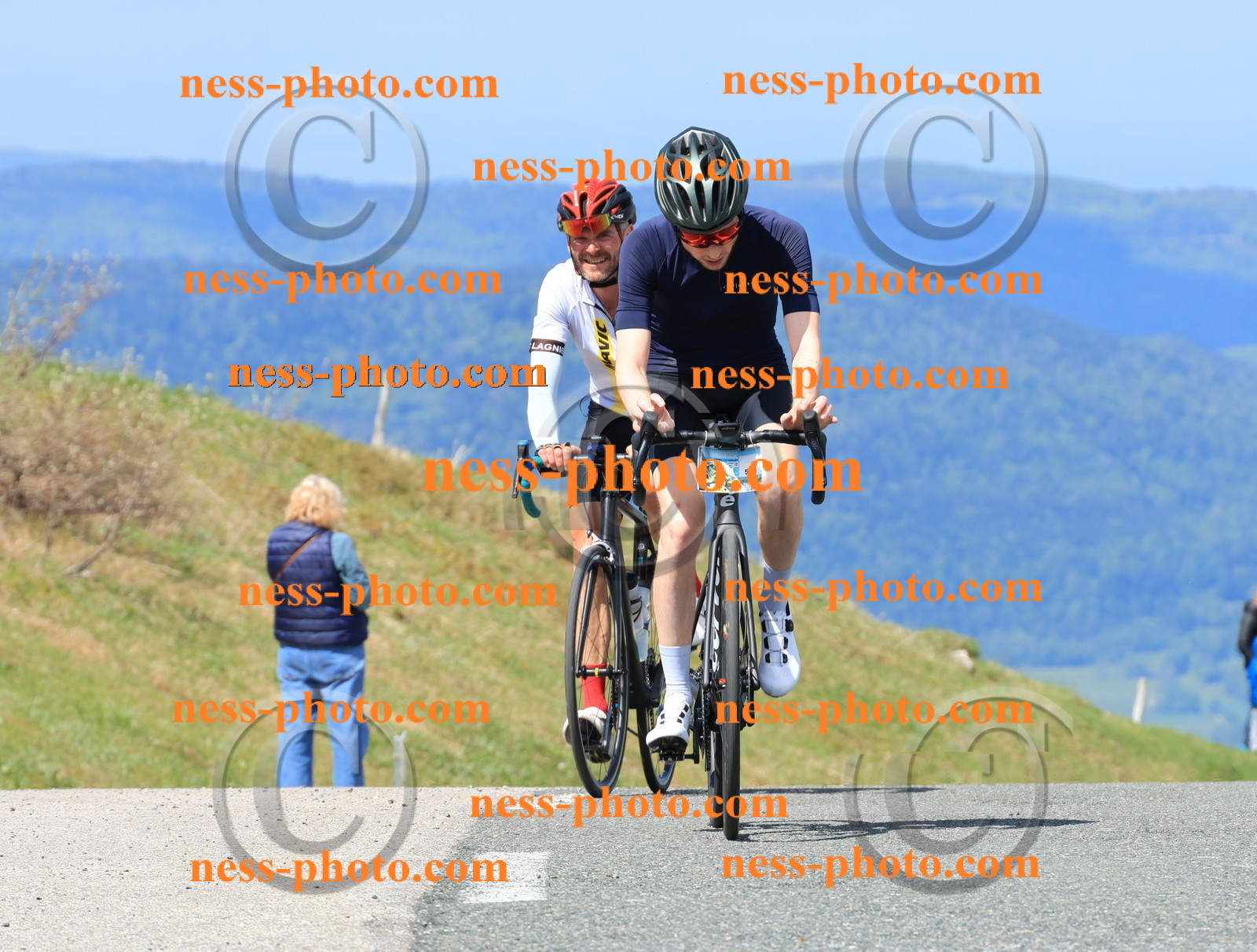 Col du Grand Colombier (946).JPG