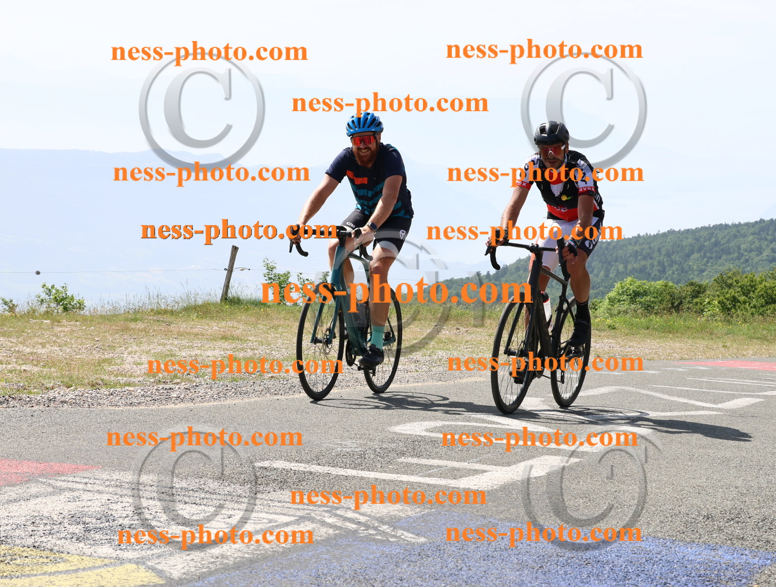 Col du grand Colombier (1210).JPG