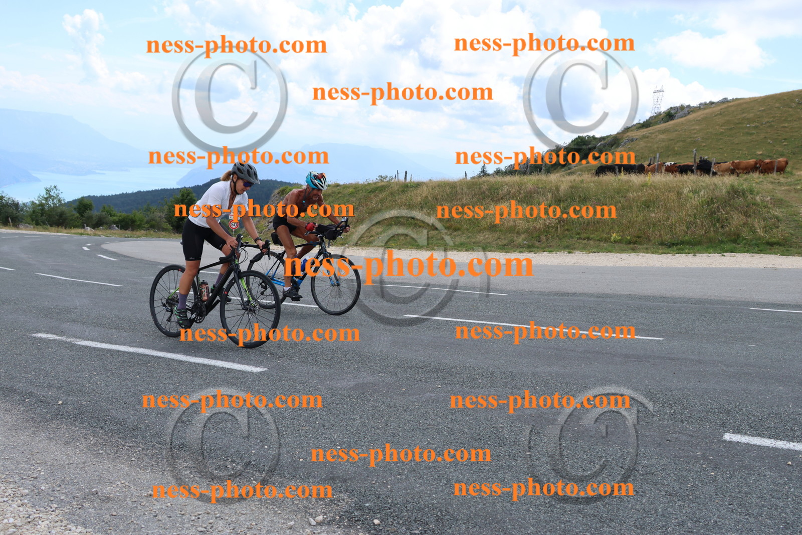 Col du Grand Colombier (254).JPG