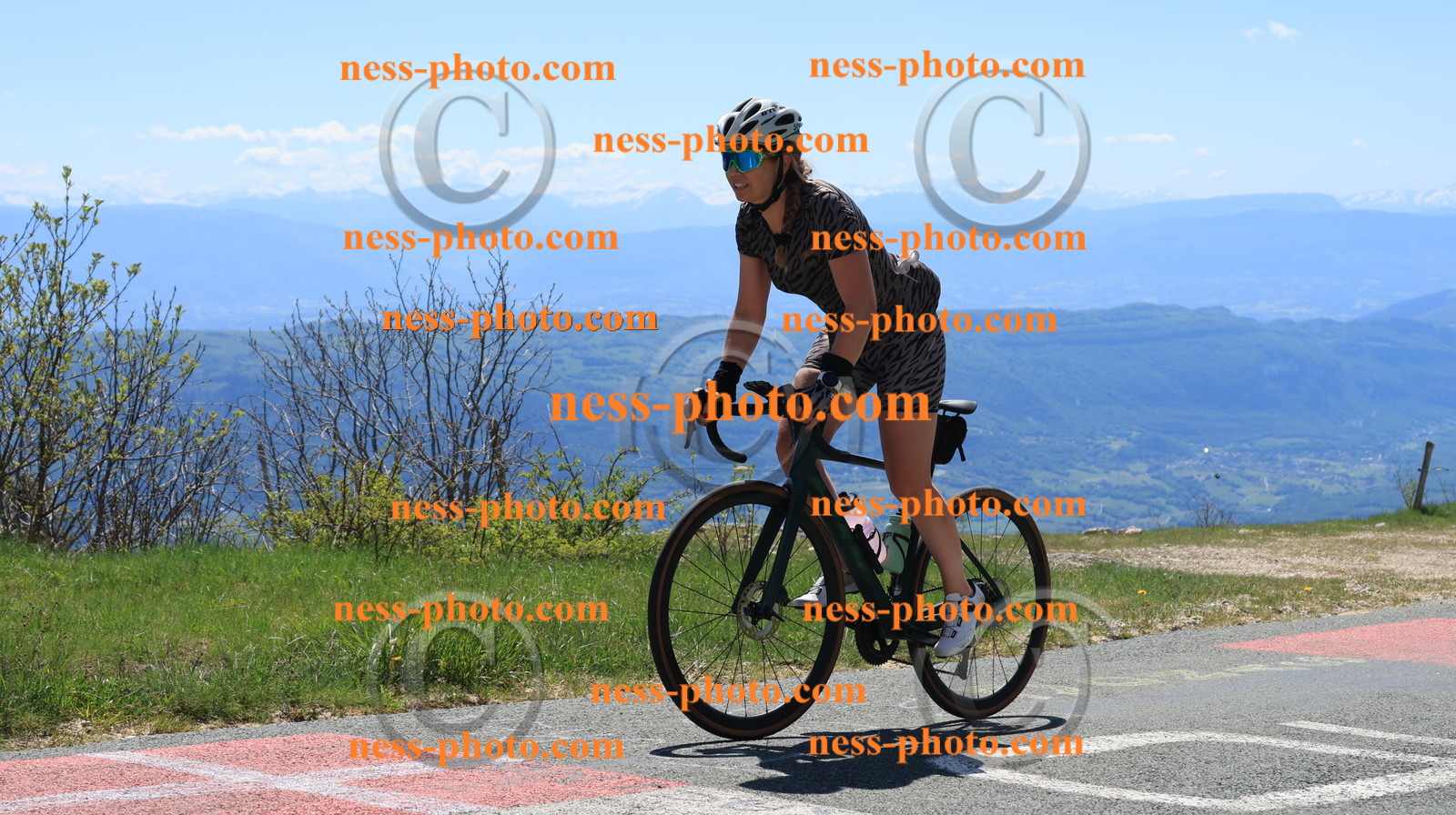 Col du grand Colombier (77).JPG