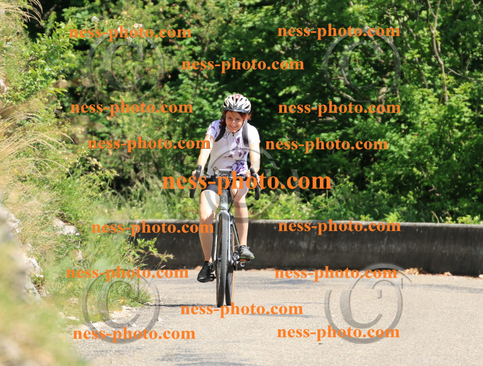 Col du Grand Colombier (715).JPG