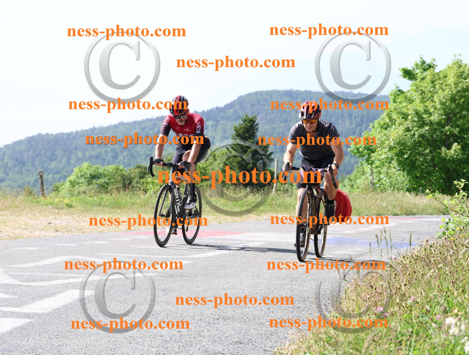 Col du grand Colombier (599).JPG