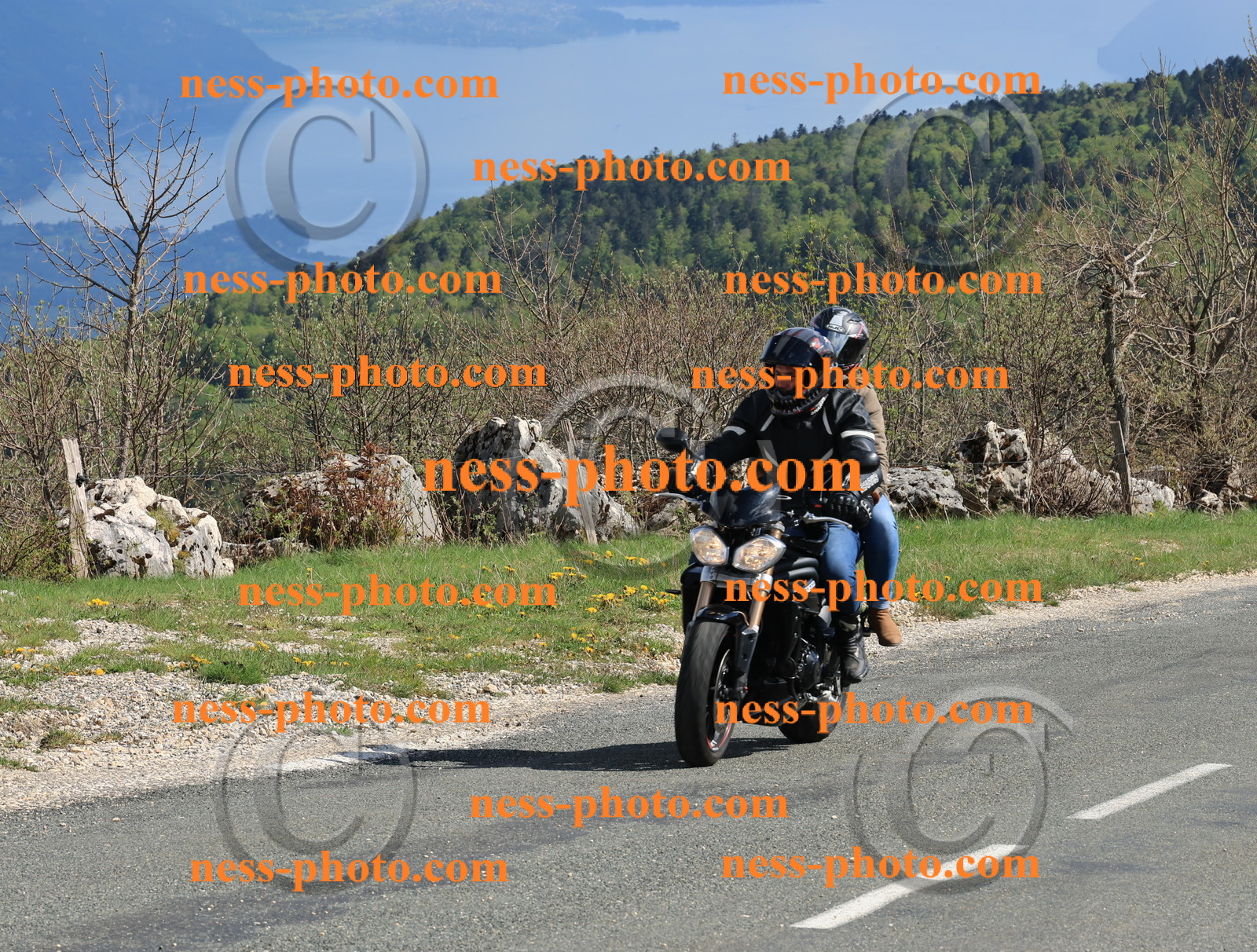 Col du Grand Colombier (248).JPG