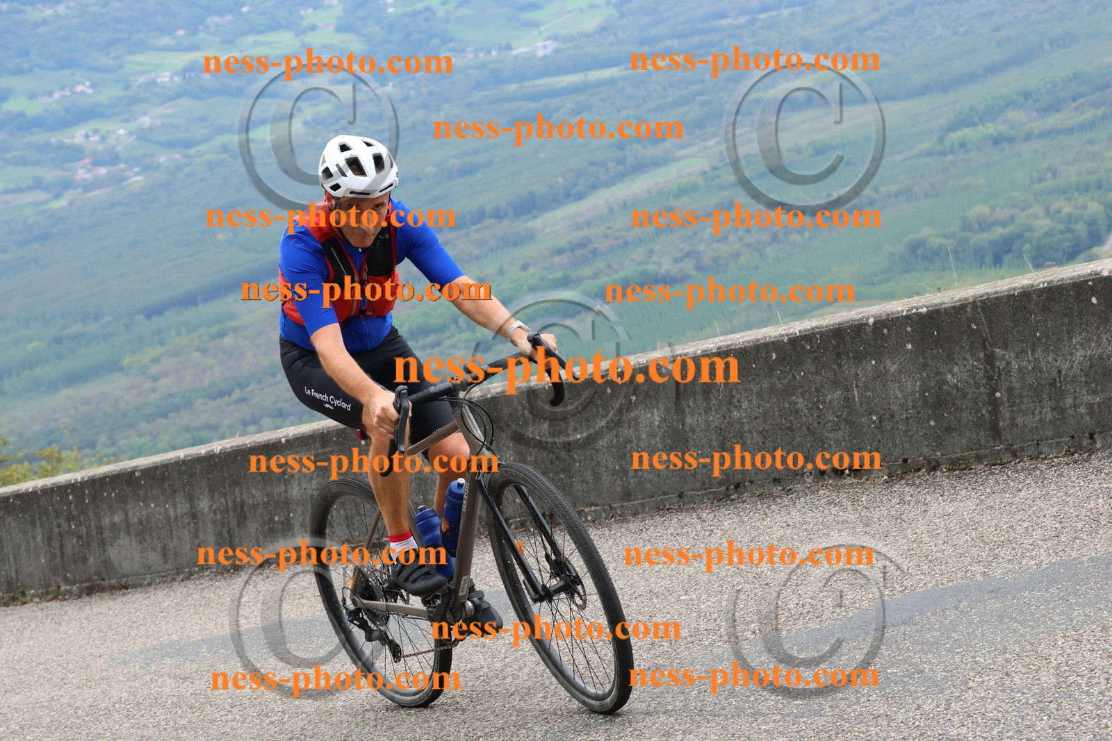 Col du Grand Colombier (1427).JPG