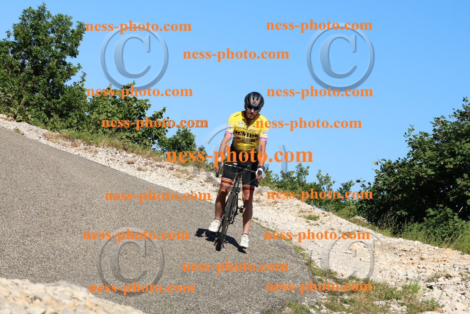 Col du Grand Colombier (741).JPG