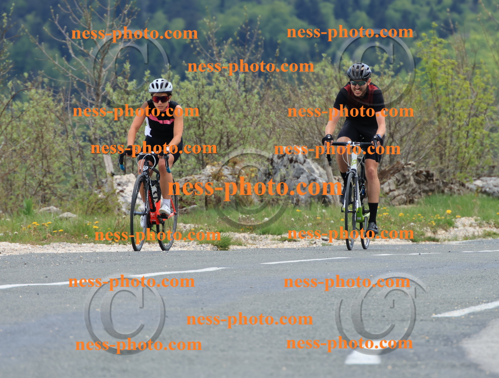 Col du grand Colombier (698).JPG