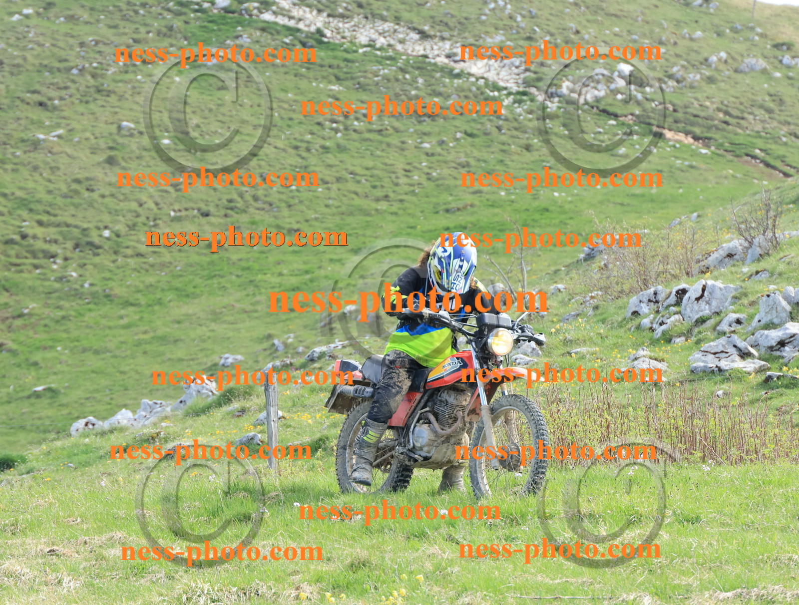 Col du Colombier (88).JPG