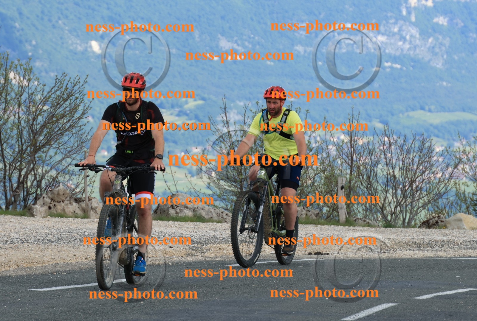 Col du grand Colombier (788).JPG