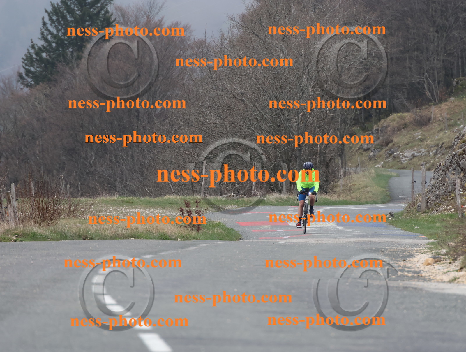 Col du Grand Colombier (10).JPG