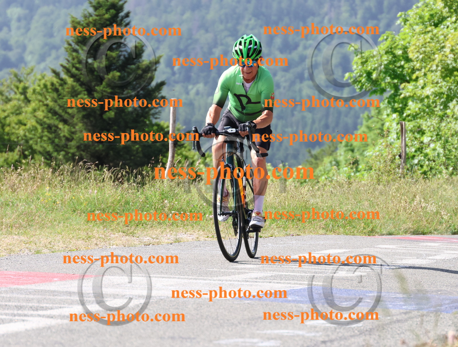 Col du grand Colombier (404).JPG