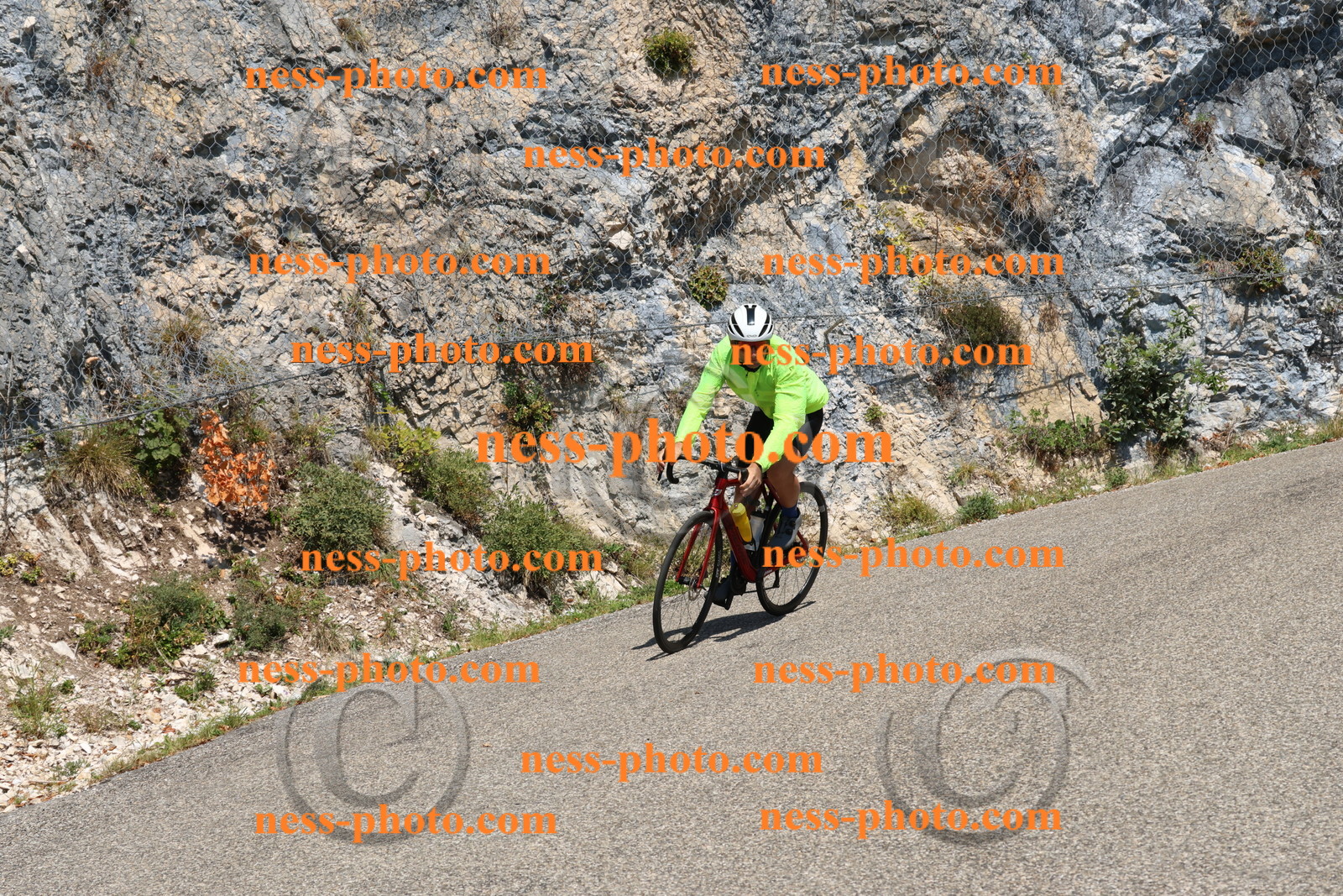 Col du Grand Colombier (537).JPG