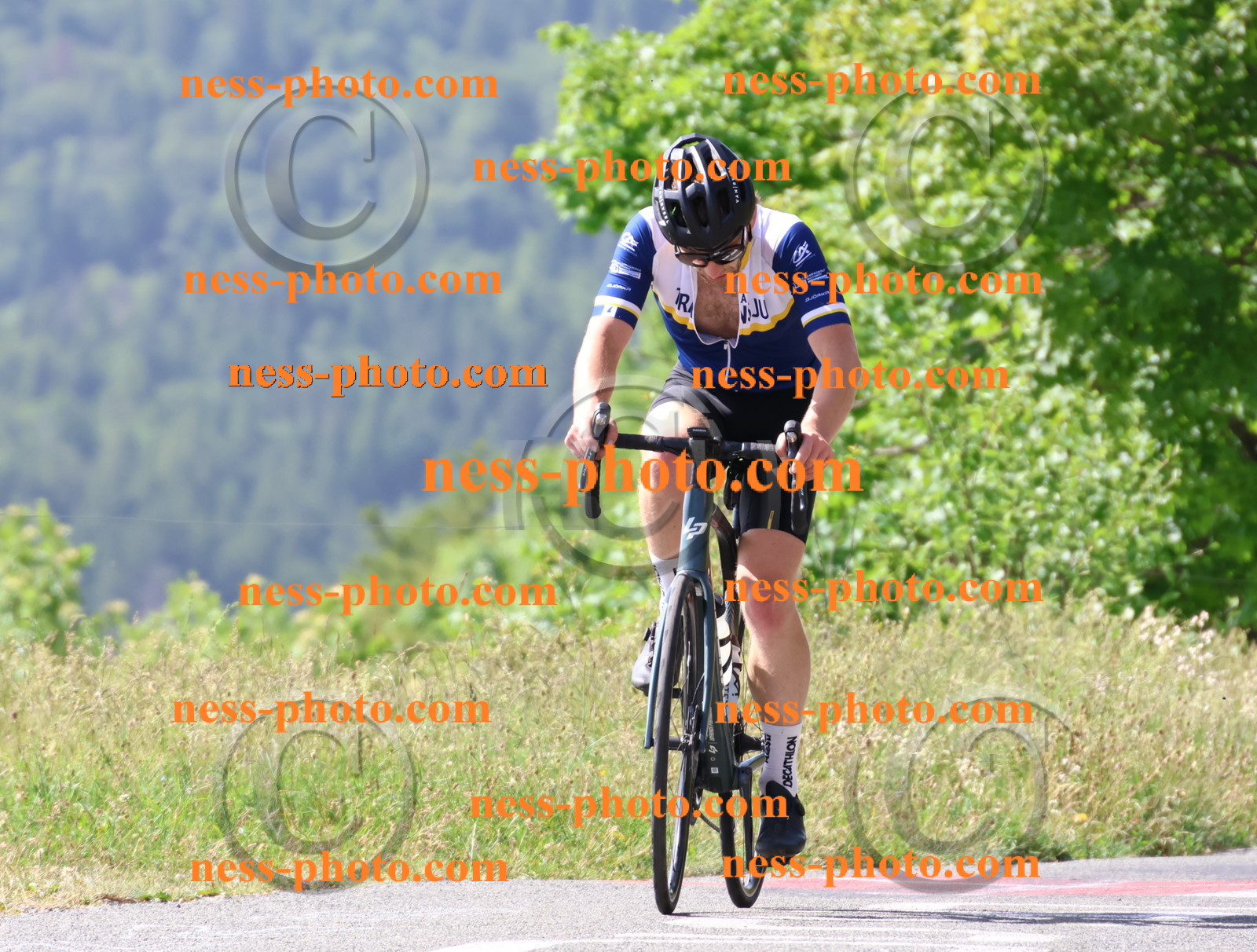 Col du grand Colombier (795).JPG