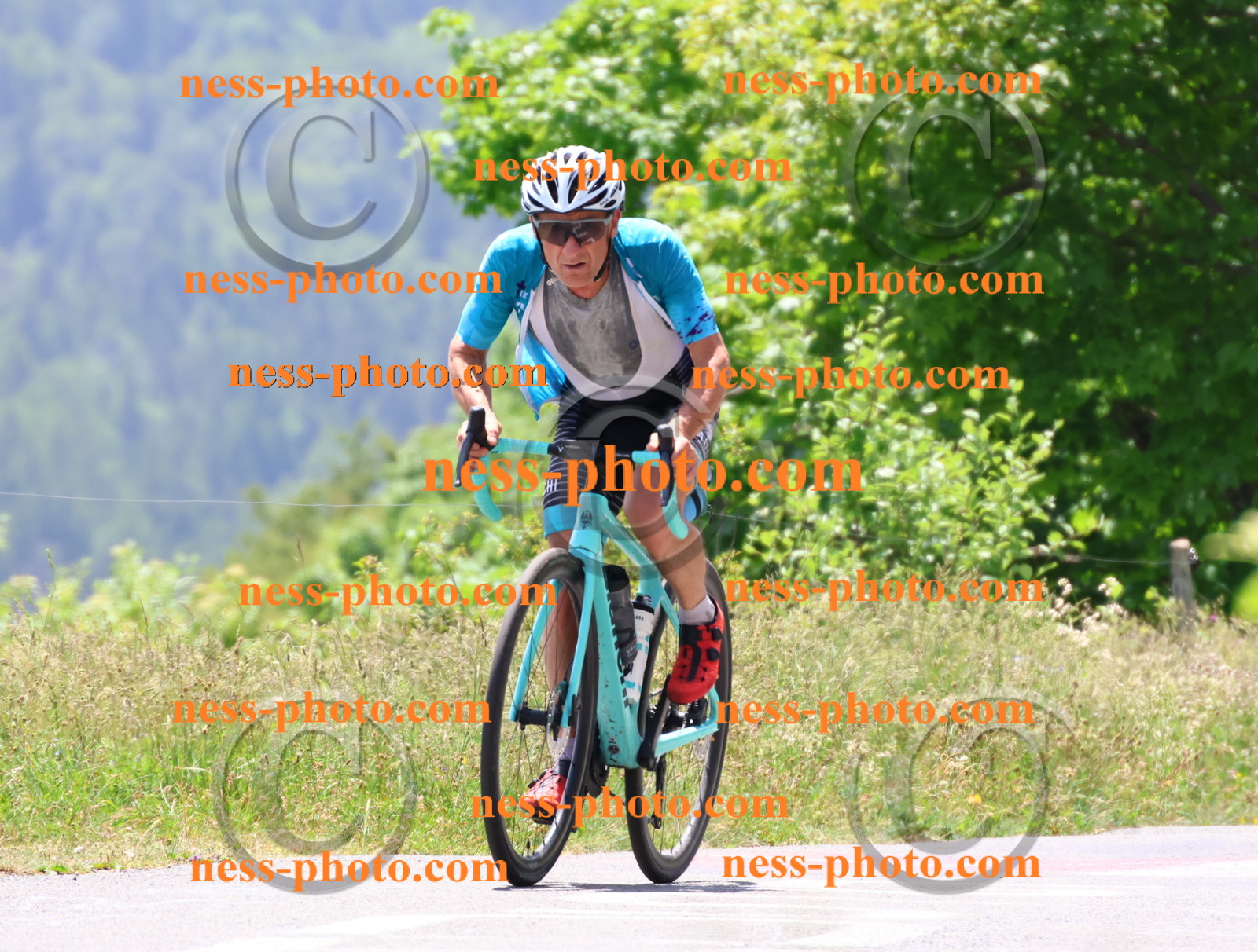 Col du grand Colombier (2892).JPG