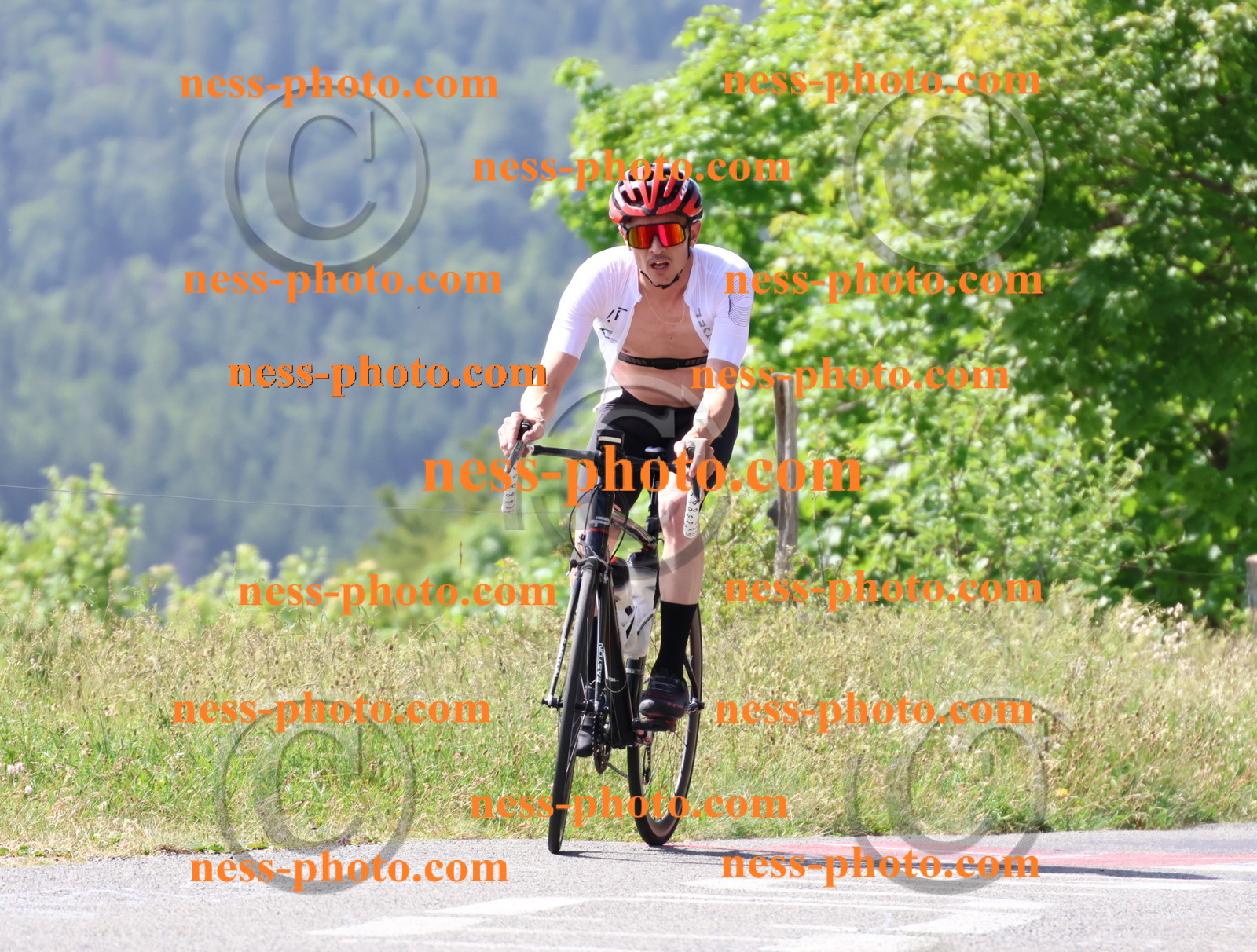 Col du grand Colombier (1083).JPG