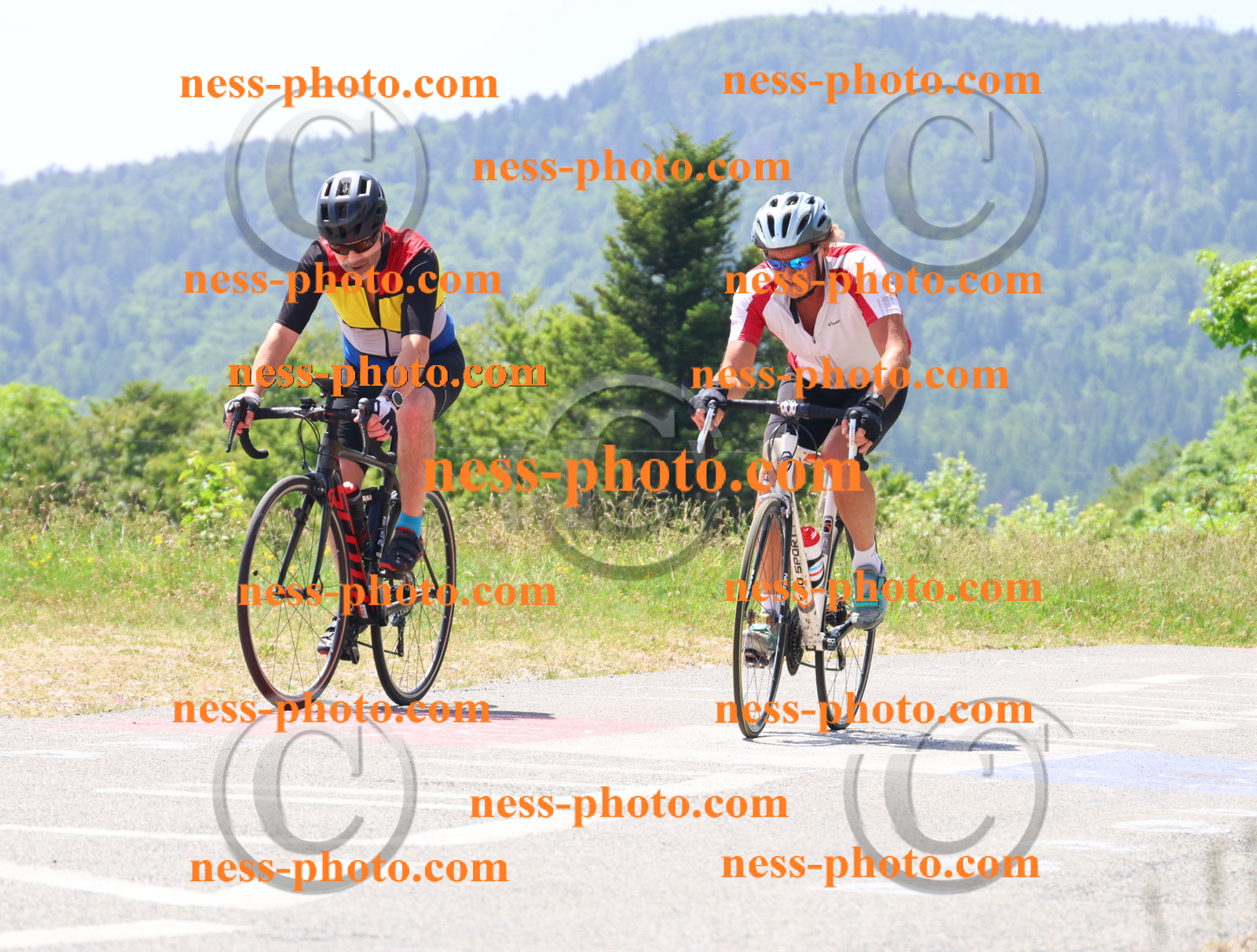 Col du grand Colombier (2474).JPG