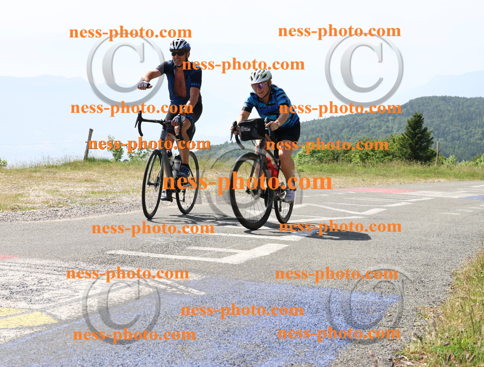 Col du grand Colombier (1246).JPG