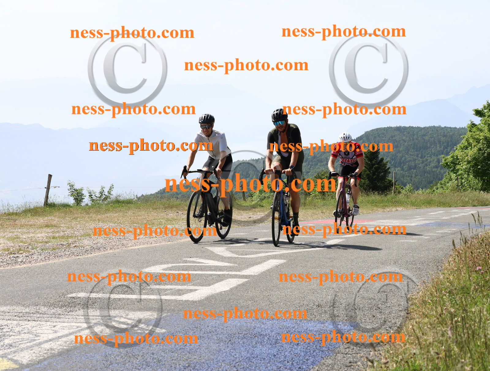 Col du grand Colombier (1231).JPG