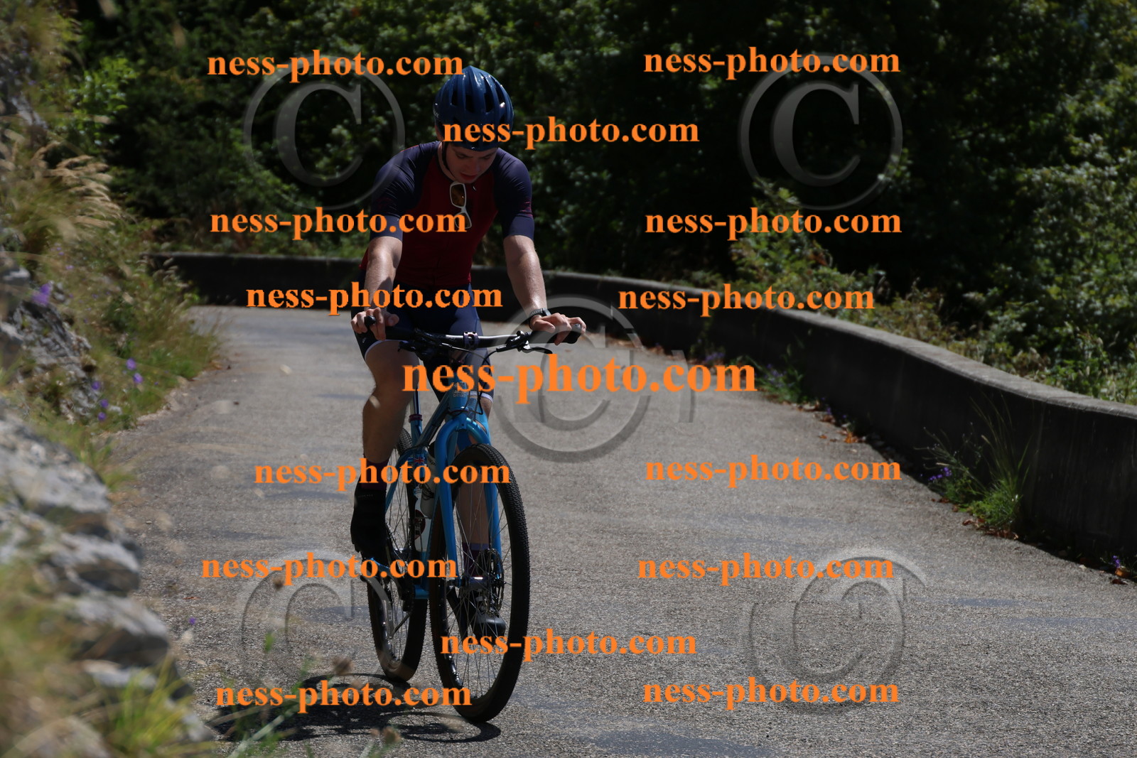 Col du Grand Colombier (215).JPG