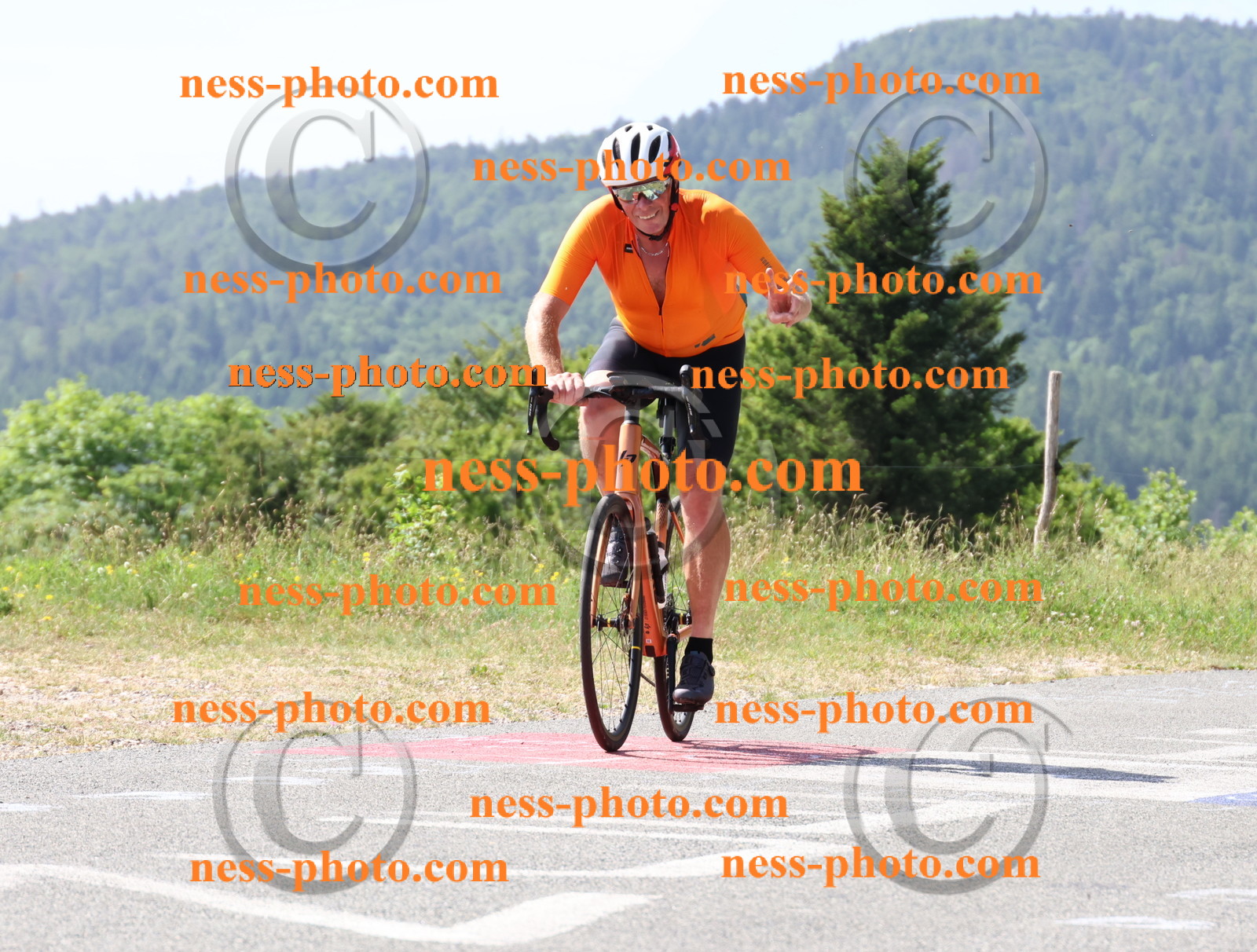 Col du grand Colombier (914).JPG