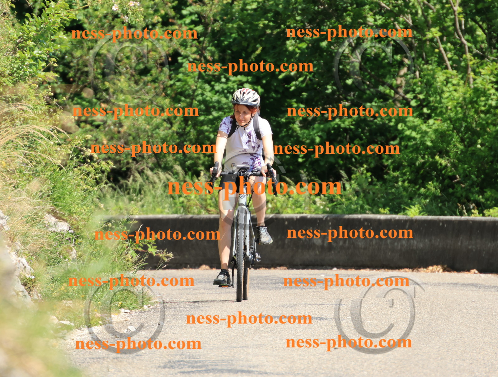 Col du Grand Colombier (714).JPG