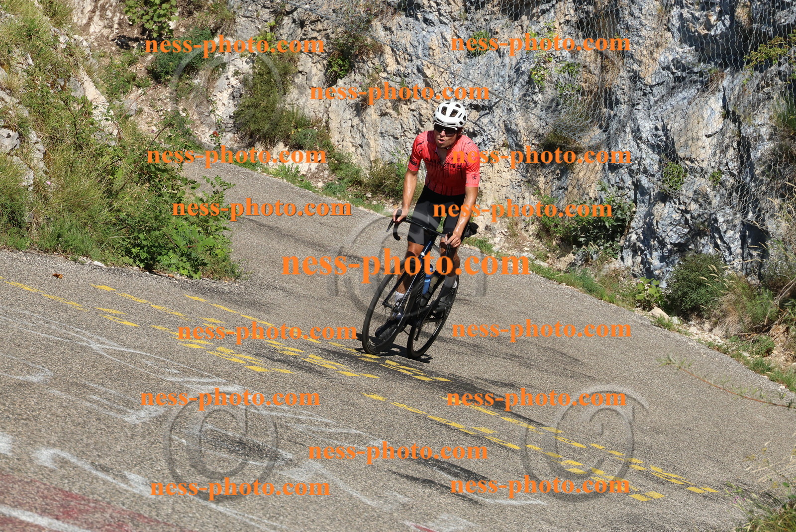 Col du Grand Colombier (280).JPG