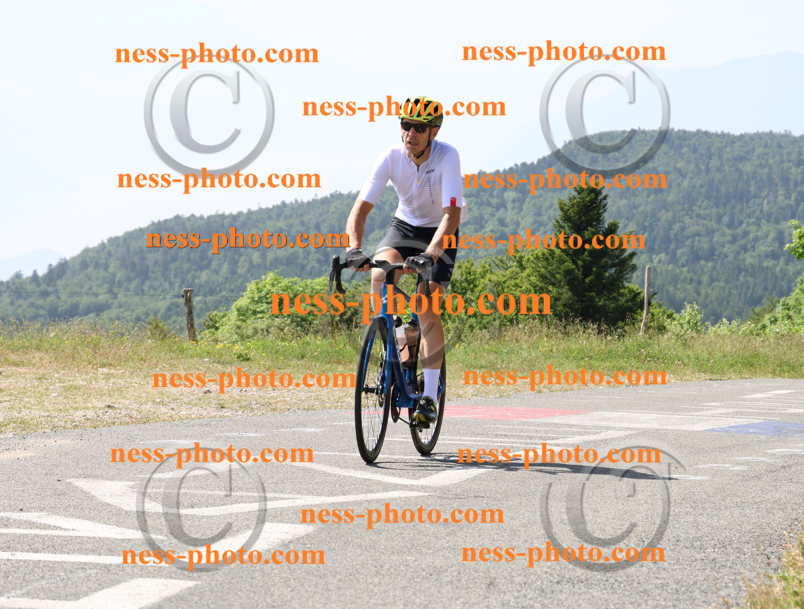 Col du grand Colombier (1262).JPG