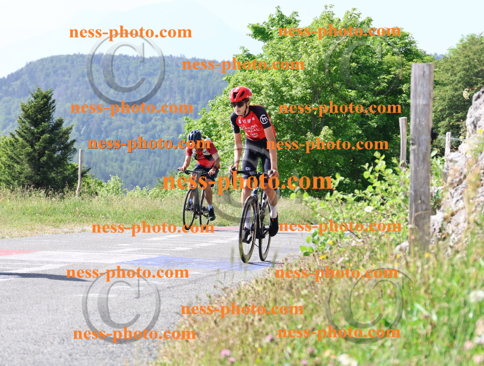 Col du grand Colombier (631).JPG