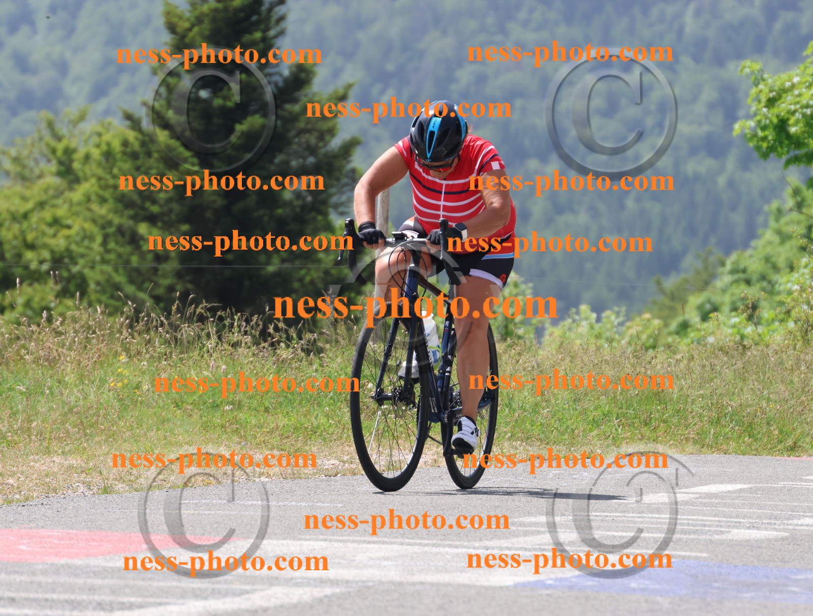Col du grand Colombier (2157).JPG