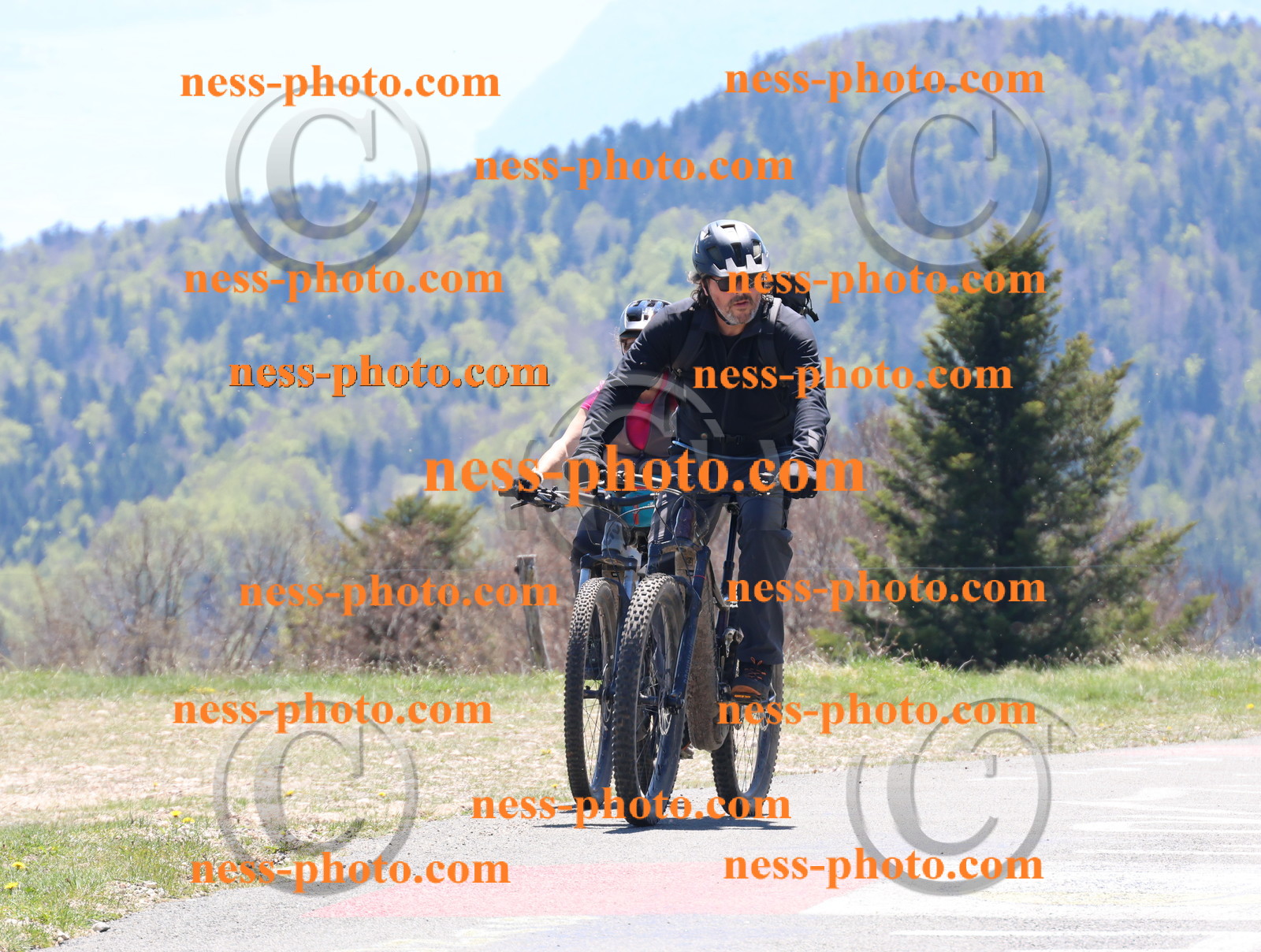 Col du Grand Colombier (520).JPG