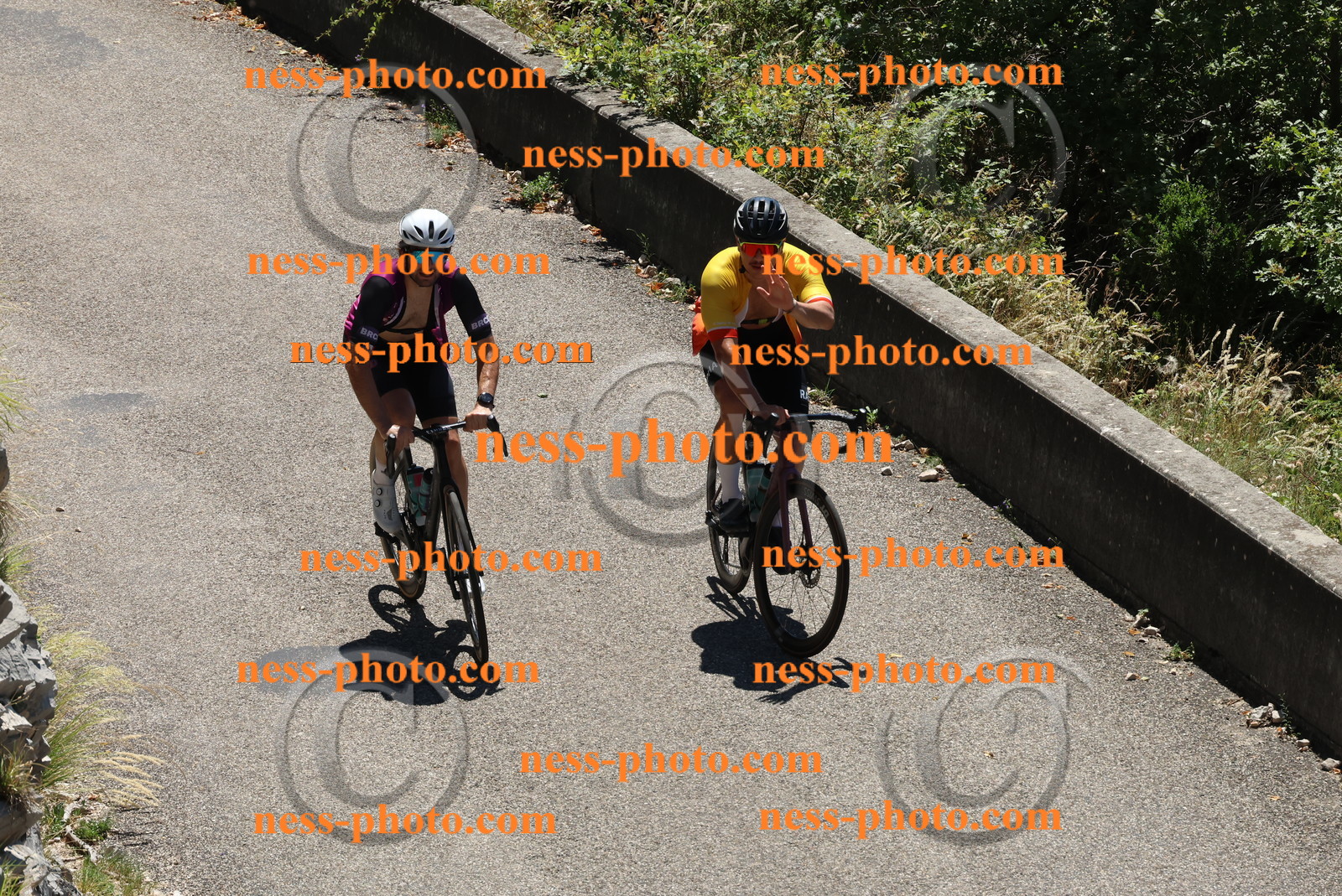 Col du Grand Colombier (560).JPG