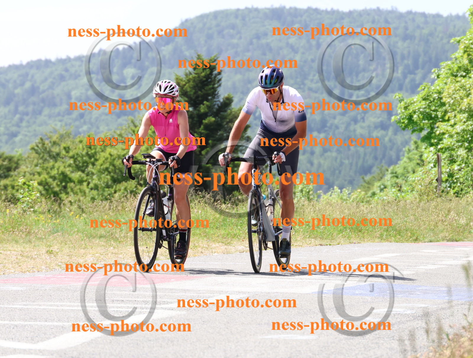 Col du grand Colombier (1377).JPG