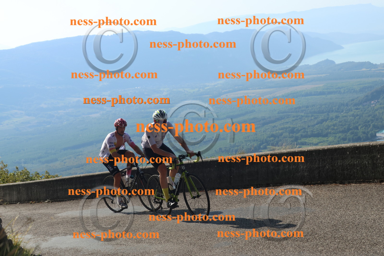 Col du Grand Colombier (1656).JPG