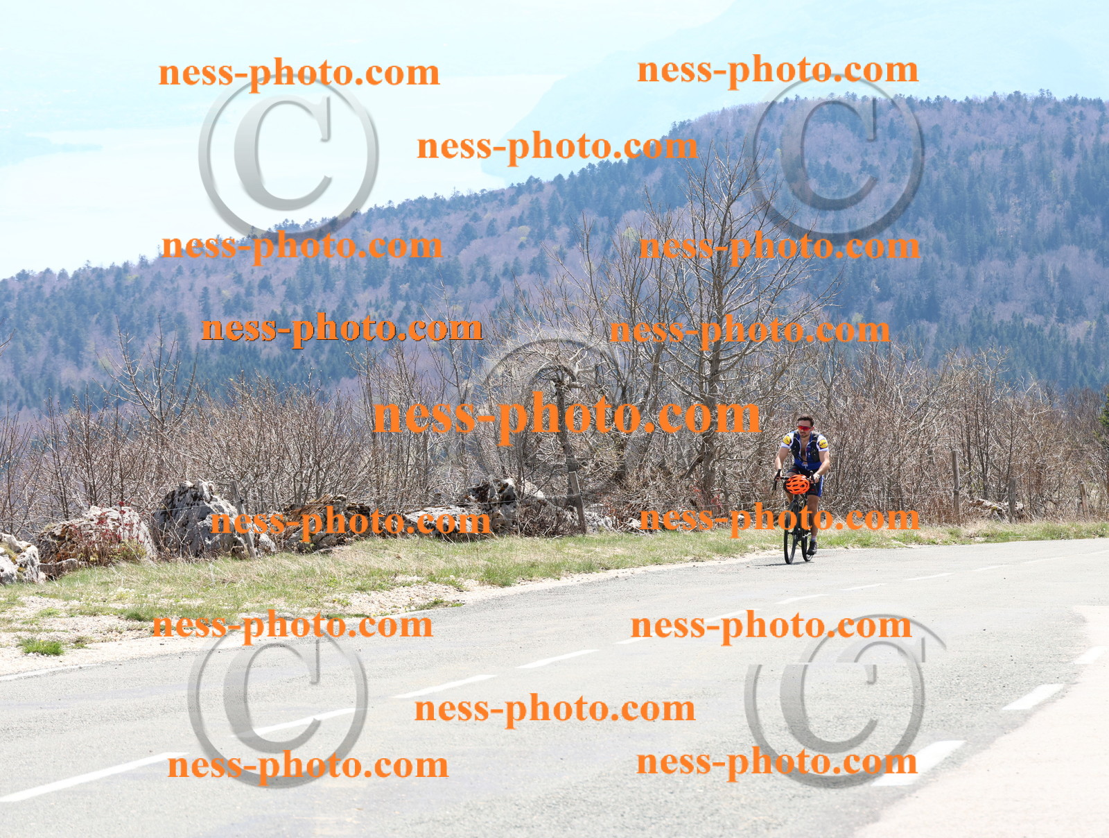 Col du Grand Colombier (351).JPG