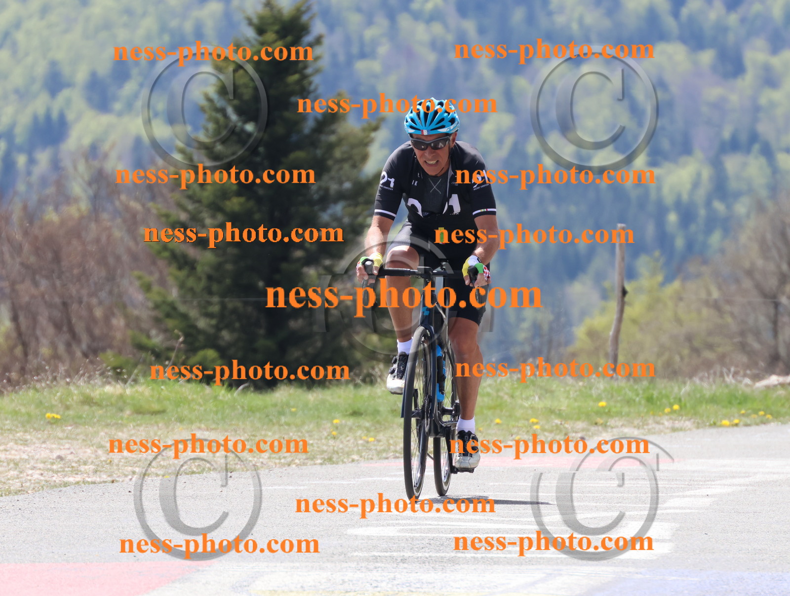 Col du Grand Colombier (181).JPG