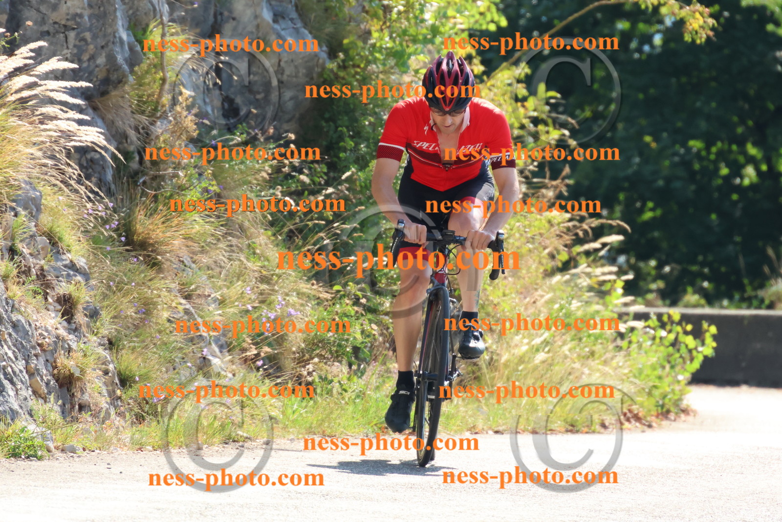 Col du Grand Colombier (124).JPG